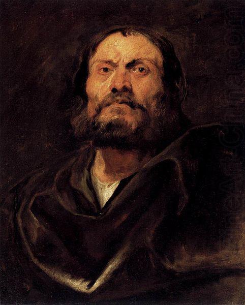 Anthony Van Dyck An Apostle china oil painting image